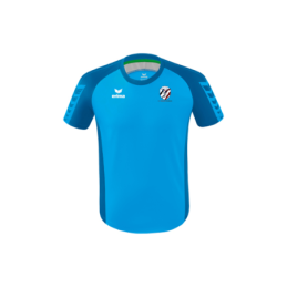 MAILLOT DE MATCH SIX WINGS