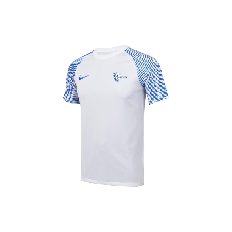 MAILLOT ACADEMY S/S JUNIOR